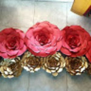 Meet your Posher, Lili